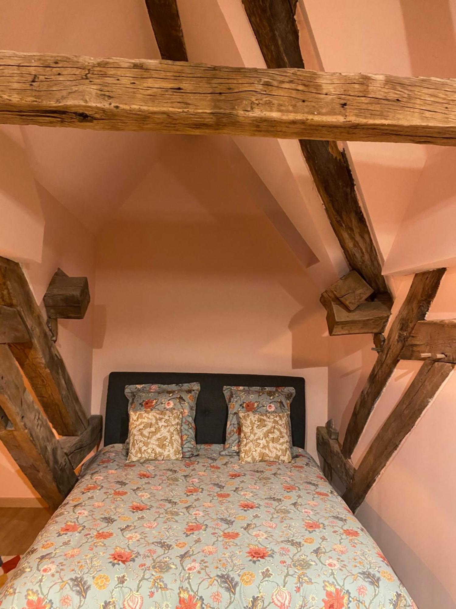 Apartment Maison Authentique « bleue Nuits » *